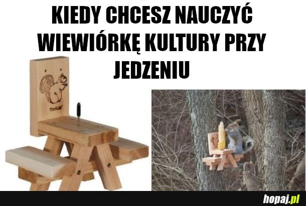 Z ludźmi może sie nie udać