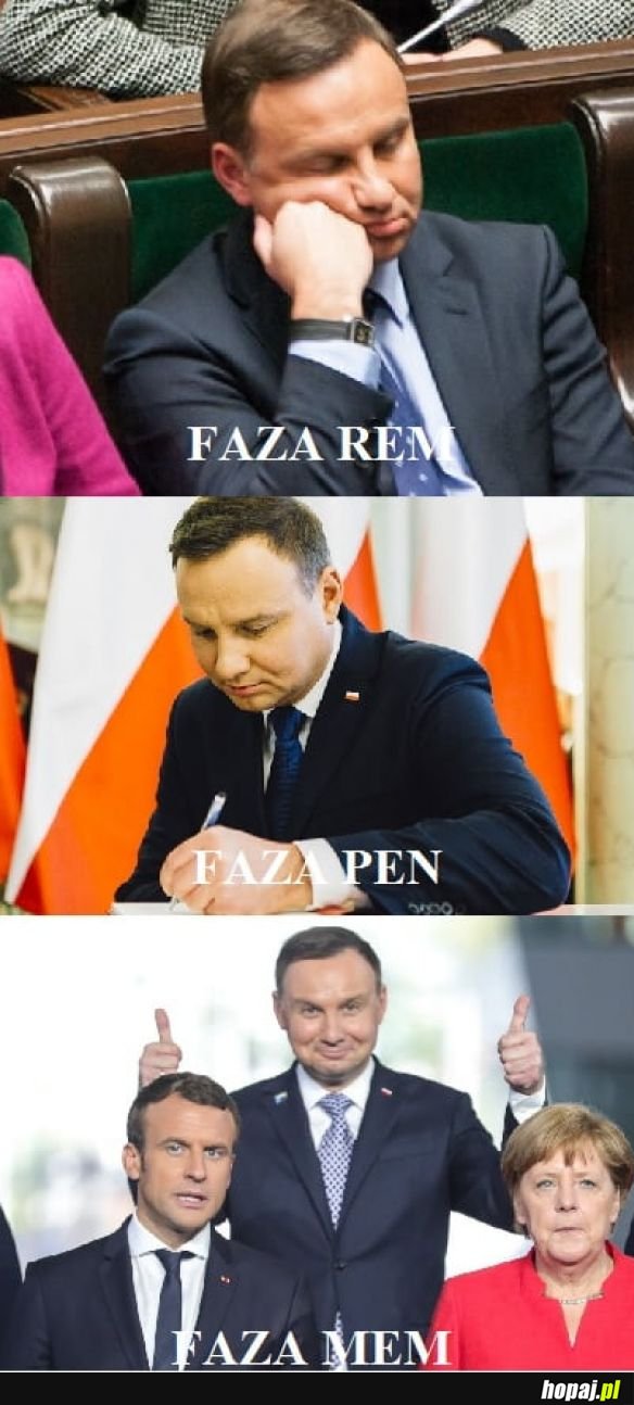 Różne fazy Dudy