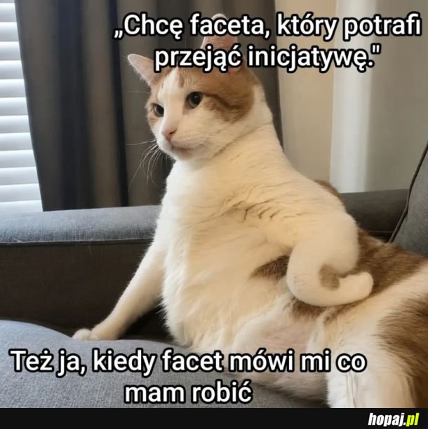 Hola hola