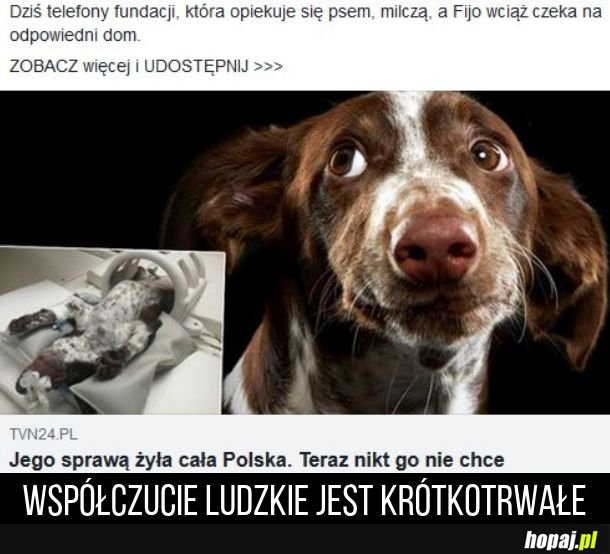 Ludzie zapominają