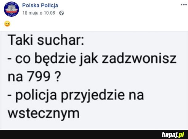 Polska Policja 