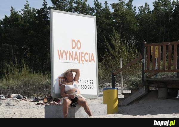 Do wynajęcia