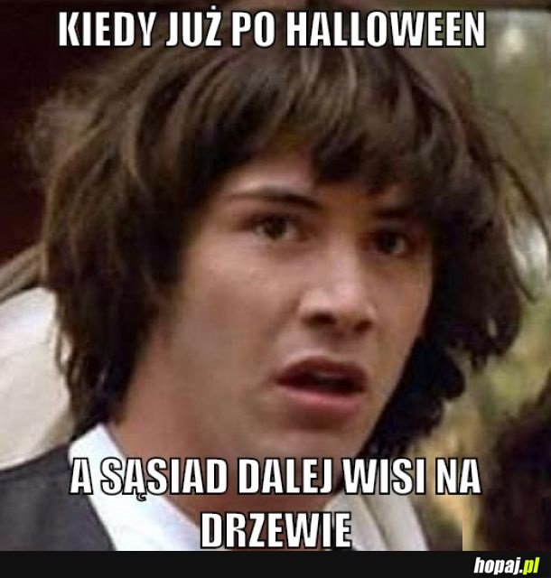 Halołiny #2