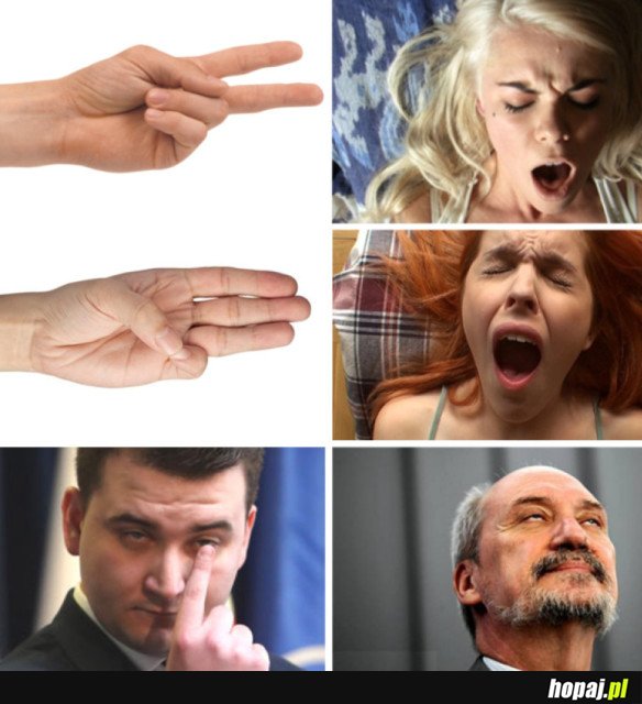 FINGER MAJSTER