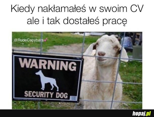 Trzeba sobie radzić