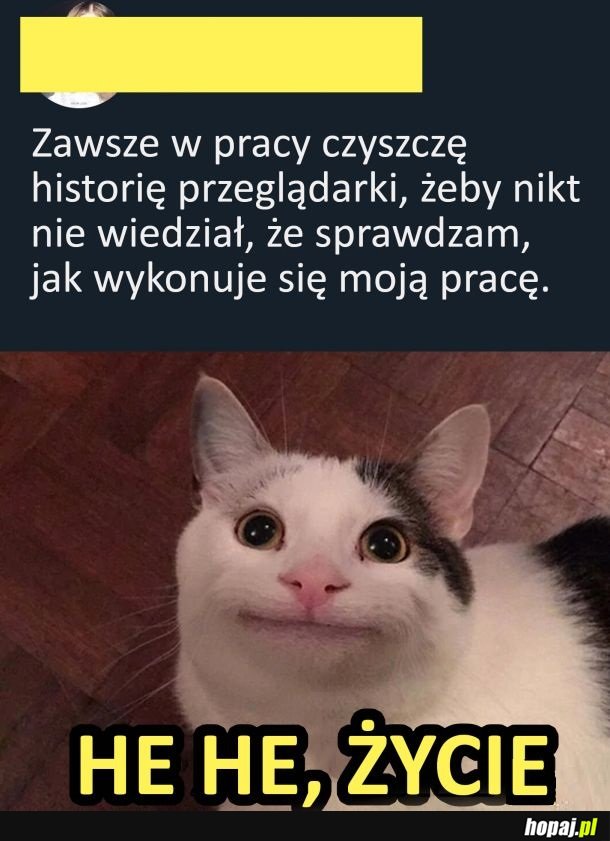 Historia przeglądarki