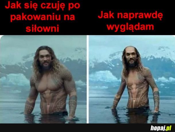 Jest moc