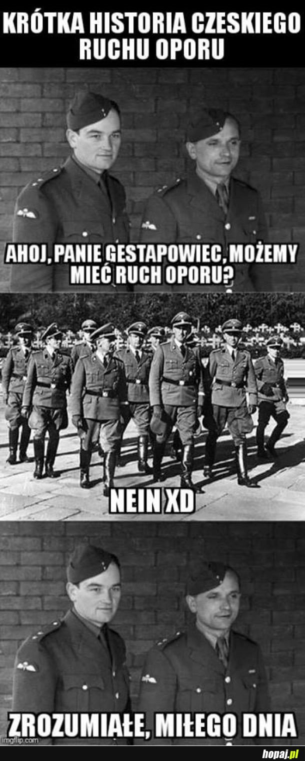 Czeski ruch oporu