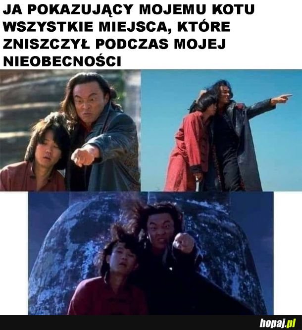 Niegrzeczny kitku