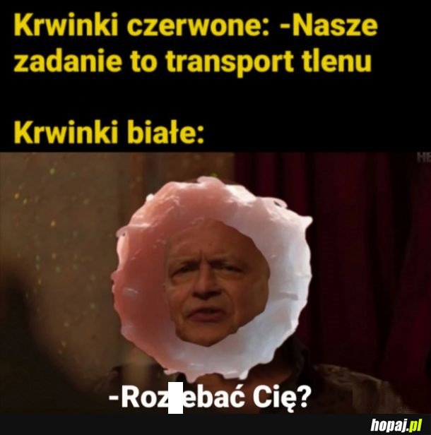 Krwinki białe