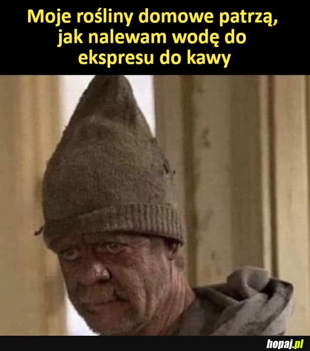 Podlej kwiaty