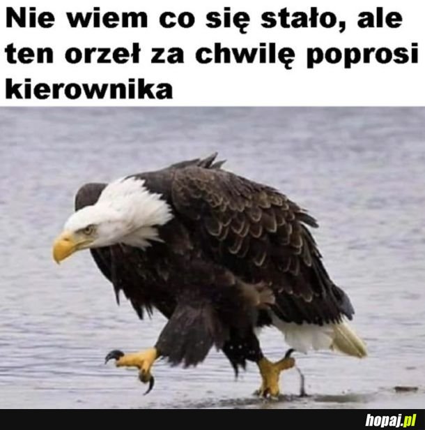 Epickie zdjęcie