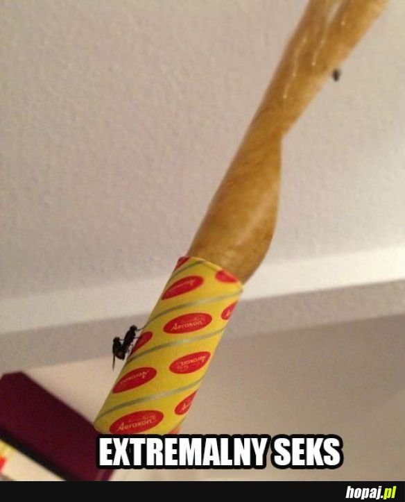 Extremalny seks