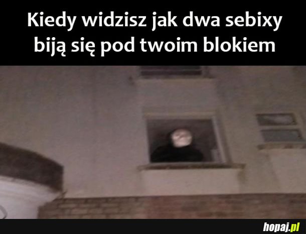 Muszę wszystko zobaczyć 