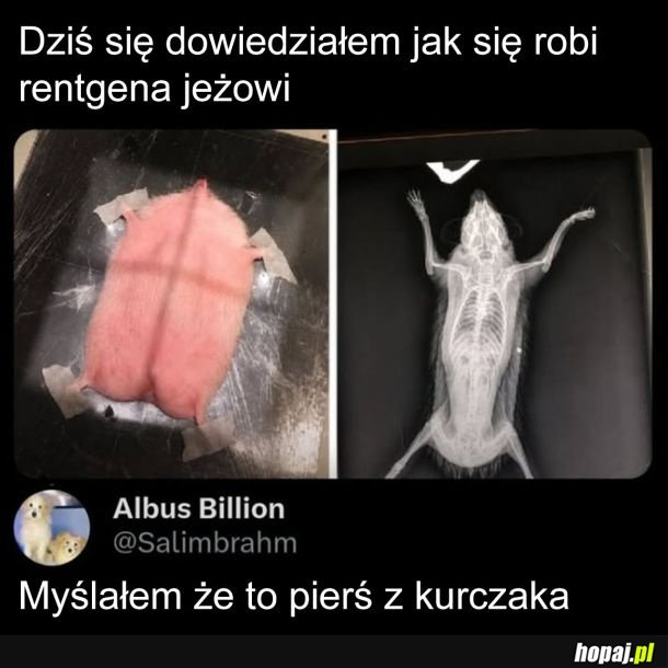 Wypuśćcie go!