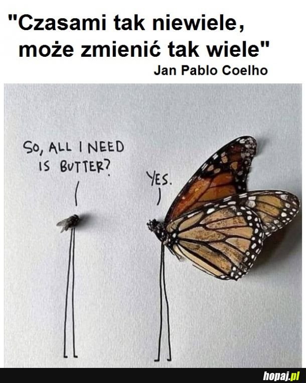 Dokarmiajcie muchy masłem...