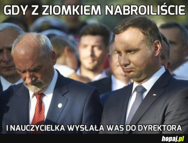 PRZYPAŁ