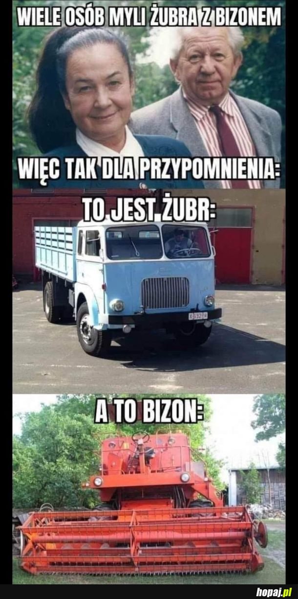 Różnica spora