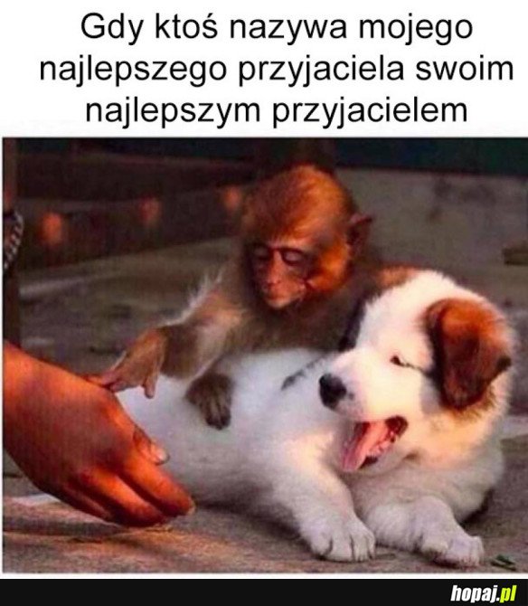 STWIERDZENIE TAK PRAWDZIWE, ŻE TRUDNO SIĘ Z NIM NIE ZGODZIĆ