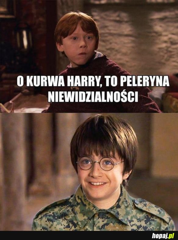 Mistrz kamuflażu