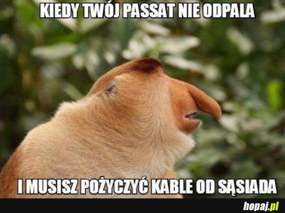 POŻYCZ SĄSIAD