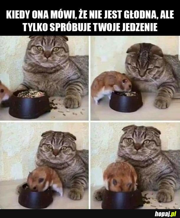 Ona i on