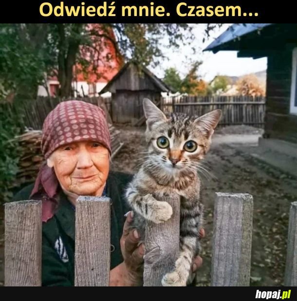 Samotność