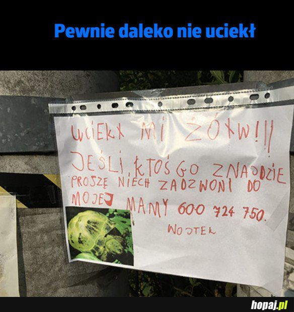 KTOŚ WIDZIAŁ?