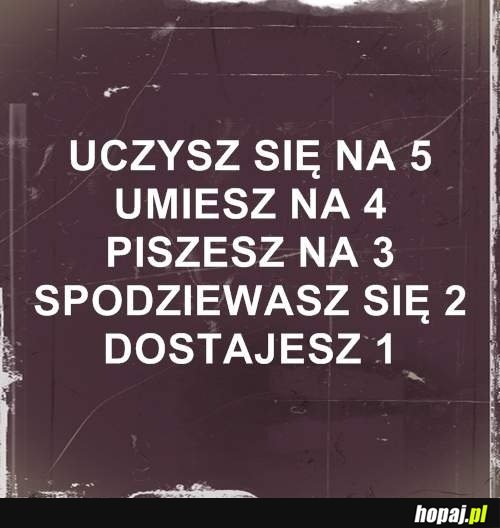 Uczysz się na 5