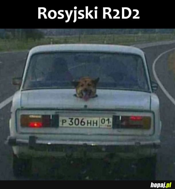 Rosyjskie Wojny 