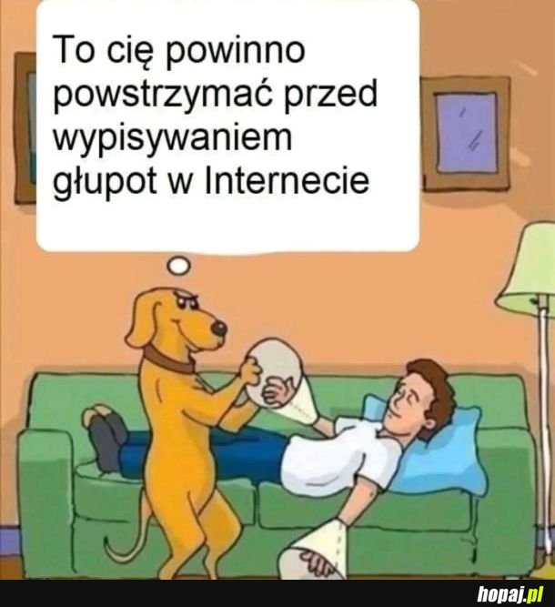 Pies przyjacielem człowieka.