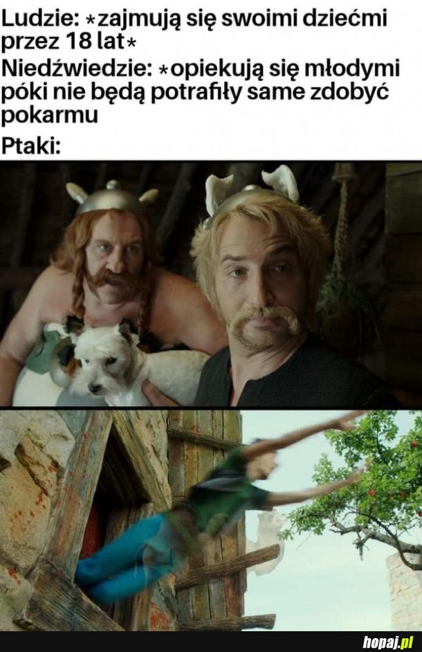 Młode