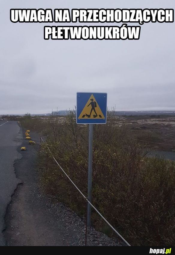 Uważajcie na nich