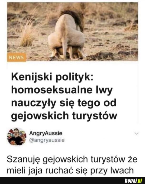 Dokąd ten świat zmierza