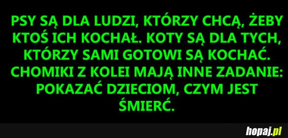 KAŻDY MA SWOJĄ MISJĘ