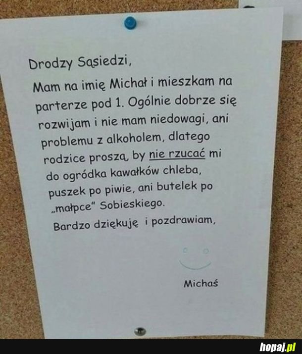 Michałek strażnik porządku