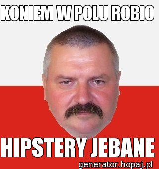 KONIEM W POLU ROBIO