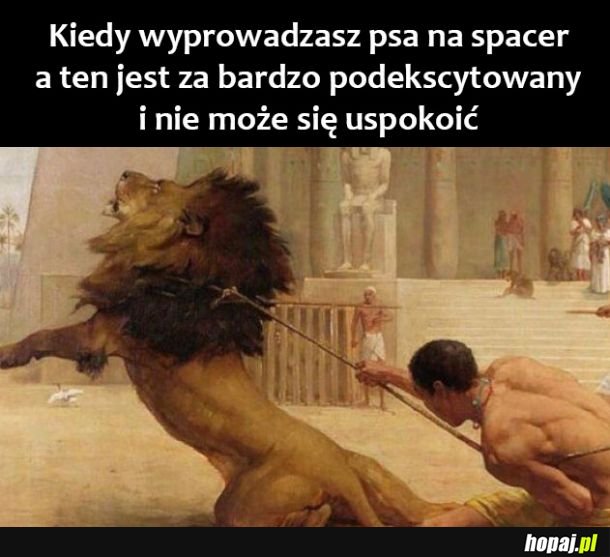 Wyprowadzanie psa