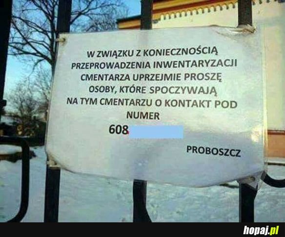 A to śmieszek