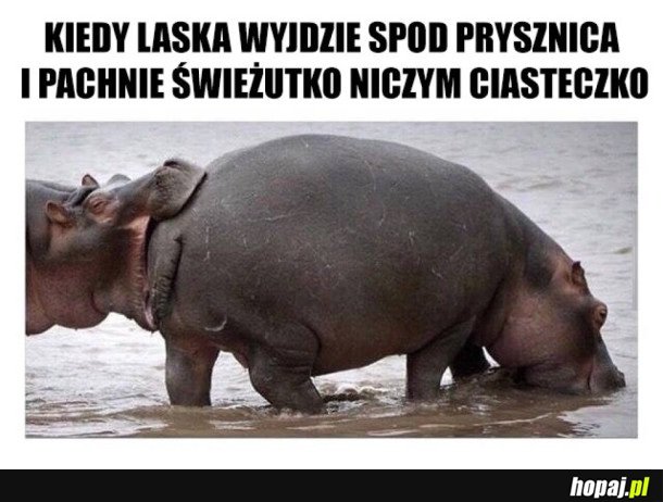 CZAS COŚ PRZEKĄSIĆ
