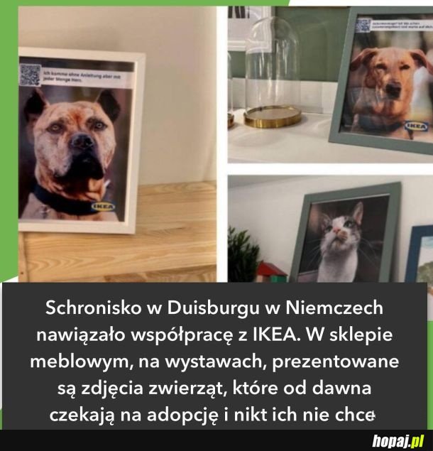 Dobra wiadomość na dobranoc