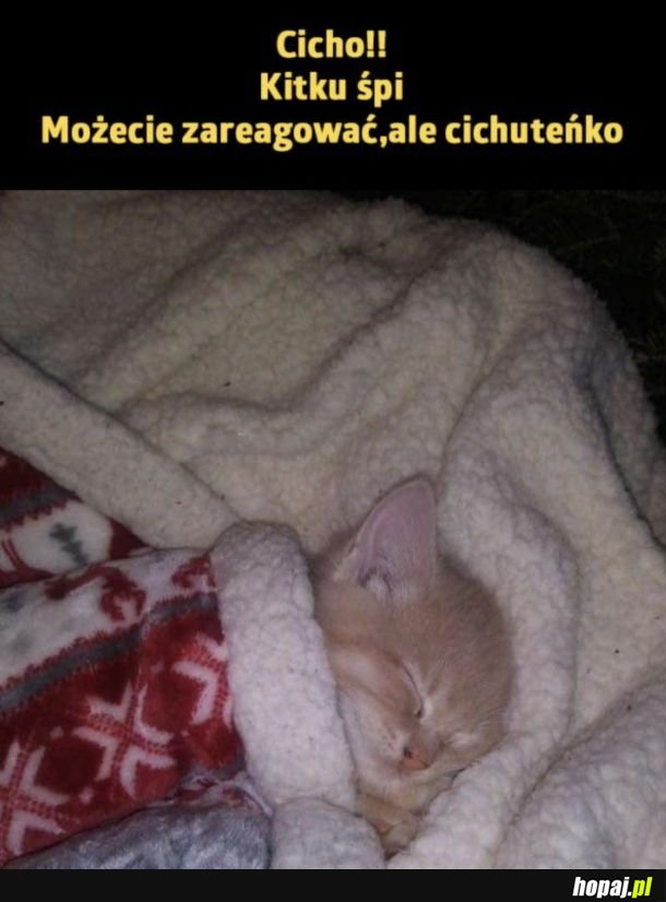 Ciii