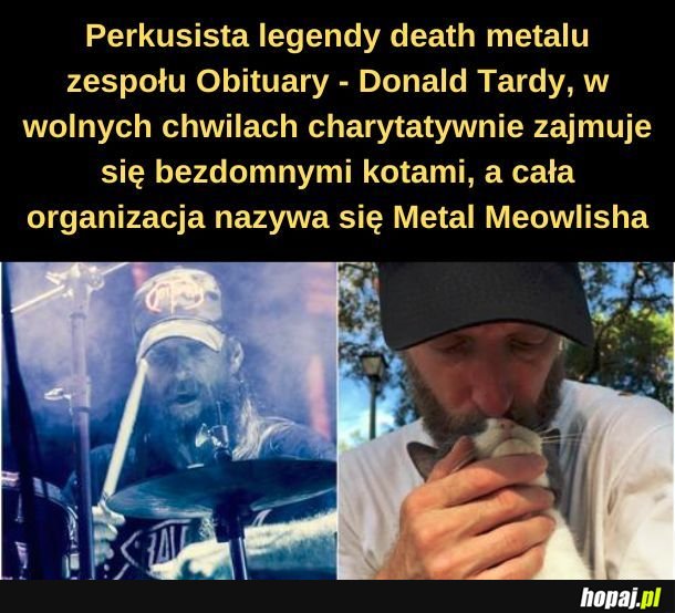 Death metalowe kitku. 