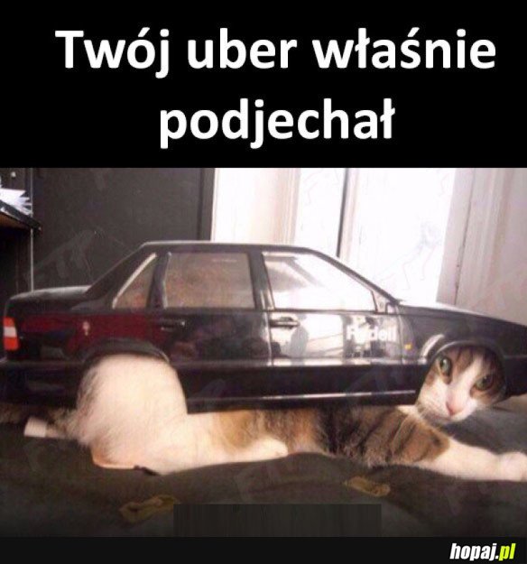 TWÓJ UBER