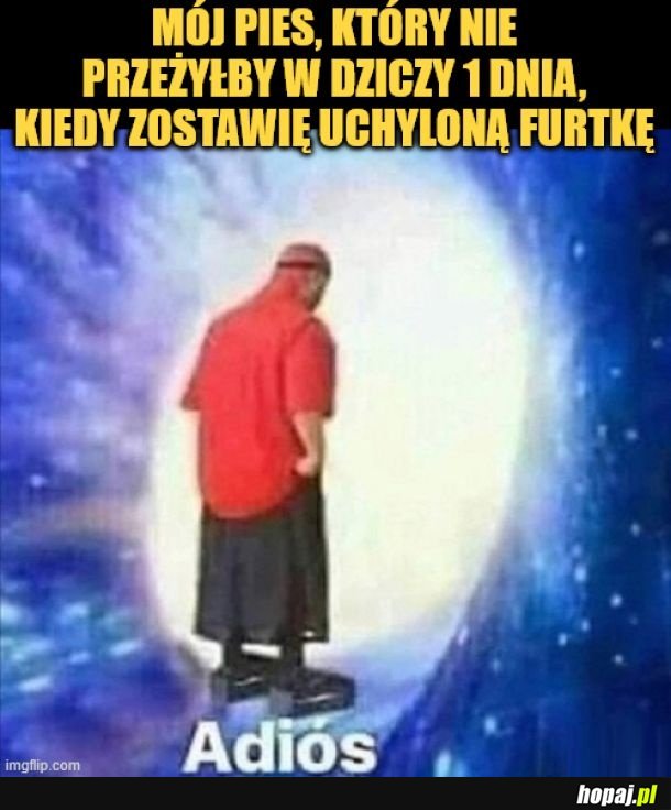 Piesek.