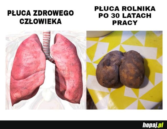 TO JEST DOPIERO CIĘŻKA PRACA