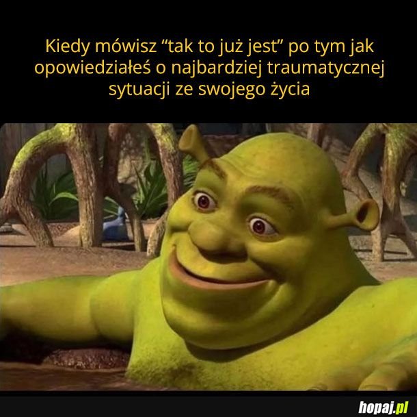 Jakoś się żyje