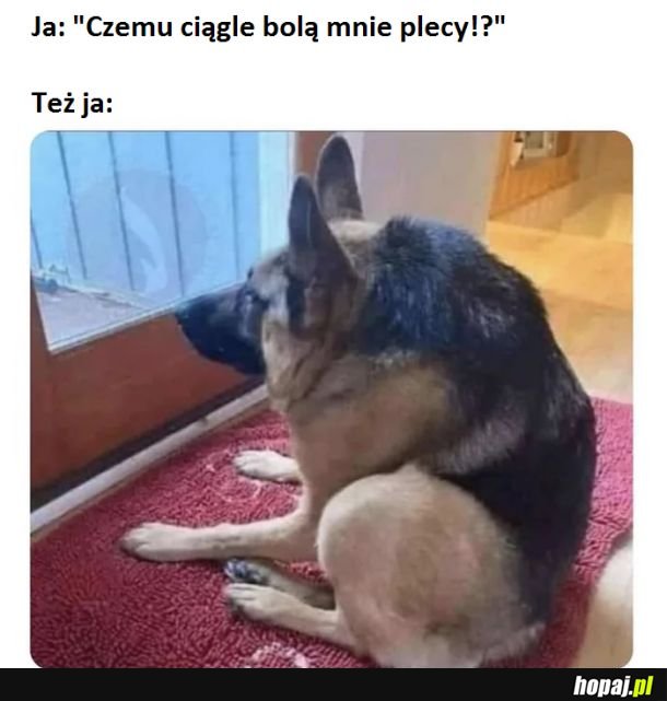 Nie garb się tak przed tym komputerem.