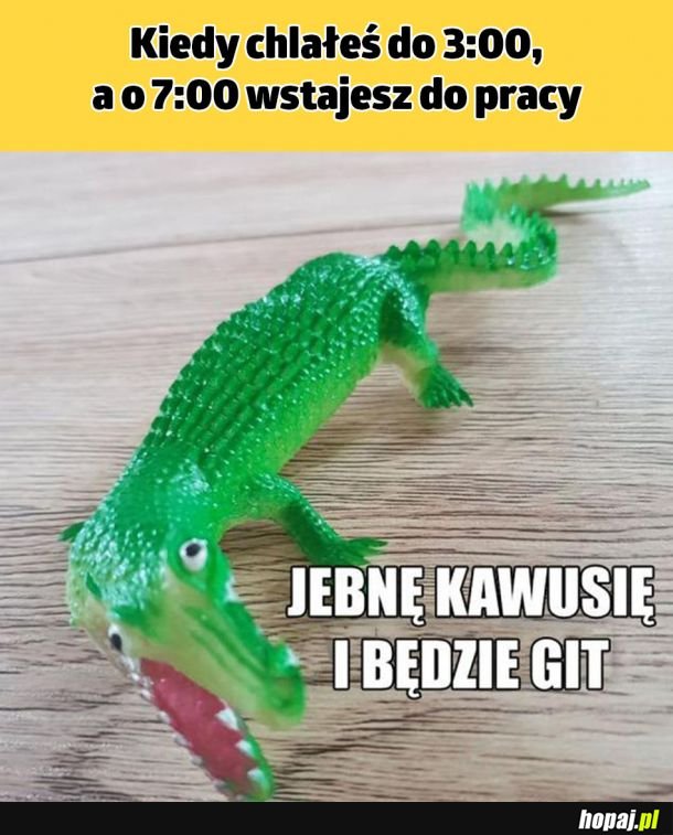 Wszystko pod kontrolą 