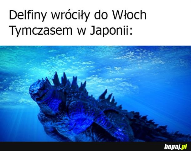 Tymczasem w Japonii
